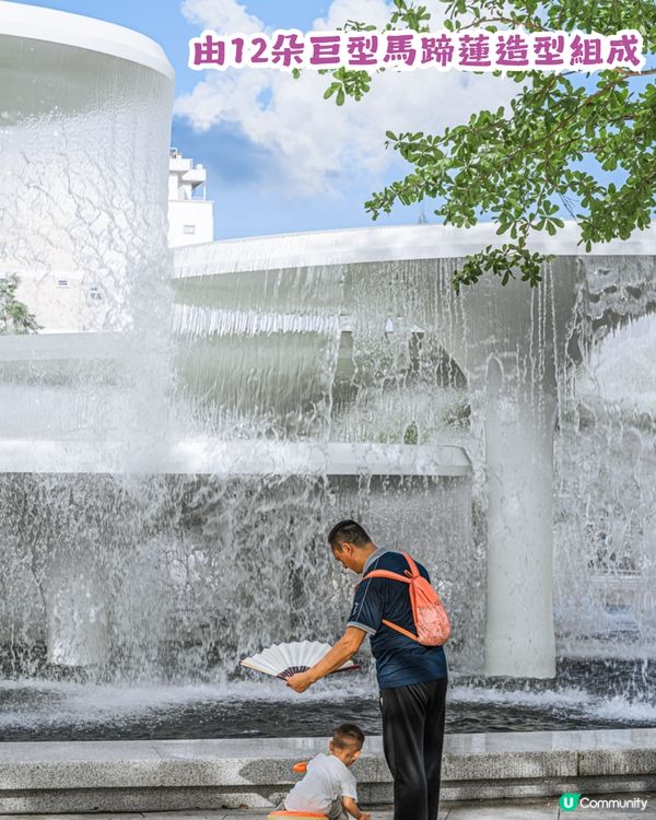 深圳福田區蓮花山公園3大打卡點📸簕杜鵑花海/蘑菇噴泉/落羽杉