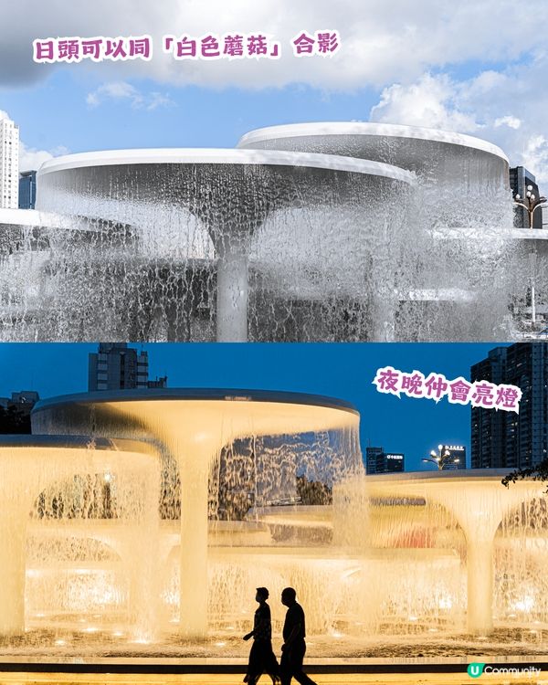 深圳福田區蓮花山公園3大打卡點📸簕杜鵑花海/蘑菇噴泉/落羽杉