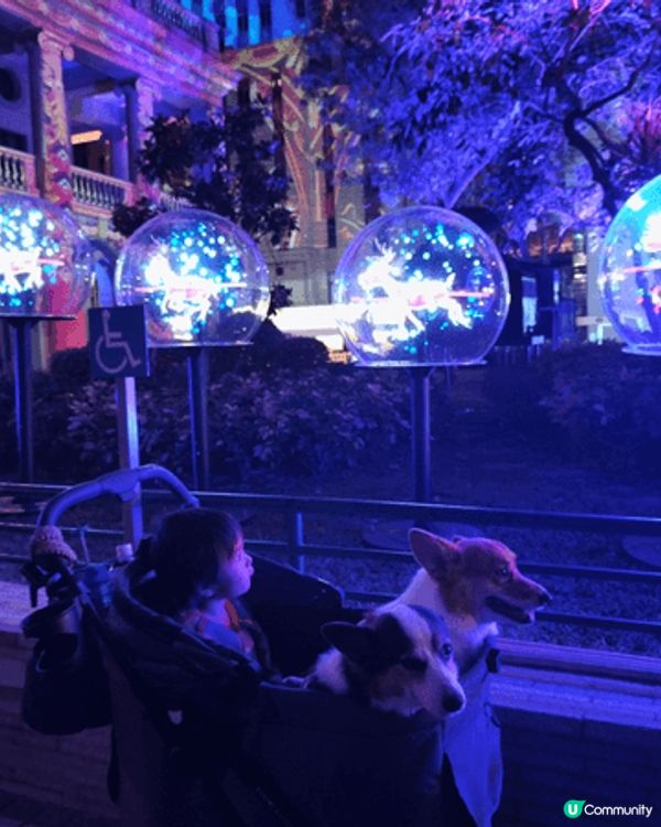 中環皇后像廣場花園將化身成夢幻的聖誕天地，矗立20米高的巨型...