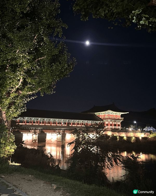 慶州是一座把千年歷史與可愛潮流完美融合的城市。白天可漫步古蹟...