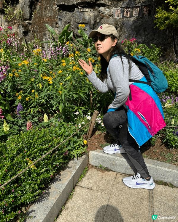 1，深圳仙湖公園。  2，南韓之旅。3，澳門水舞間。 4，日...