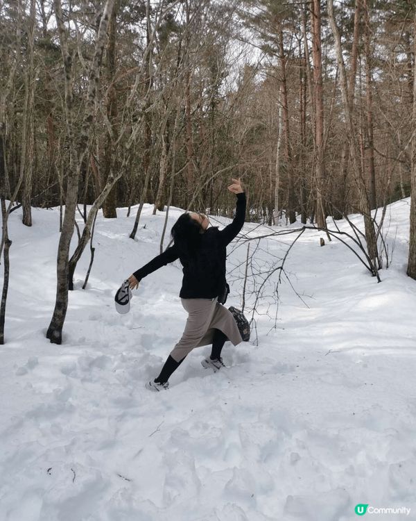 1，深圳仙湖公園。  2，南韓之旅。3，澳門水舞間。 4，日...