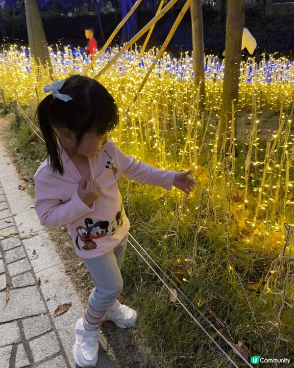 西九文化區係一個野餐既好地方，夜晚都好靚