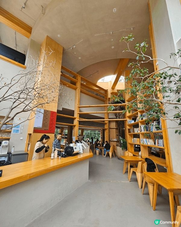 身心治愈好地方 @桉與松藝術書吧 @深圳筆架山公園