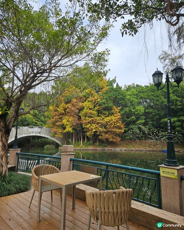 身心治愈好地方 @桉與松藝術書吧 @深圳筆架山公園