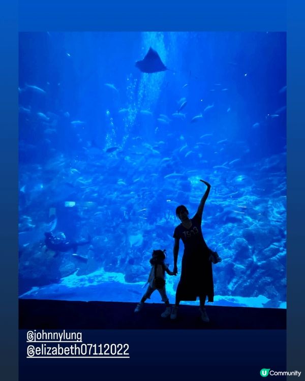 如果和小朋友去的地方，基本上都係海洋公園、迪士尼和其他親子的...