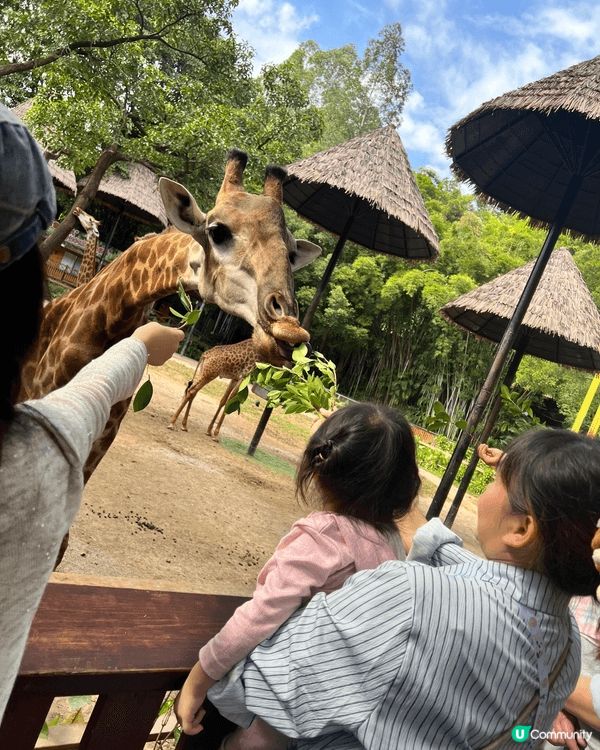 如果和小朋友去的地方，基本上都係海洋公園、迪士尼和其他親子的...