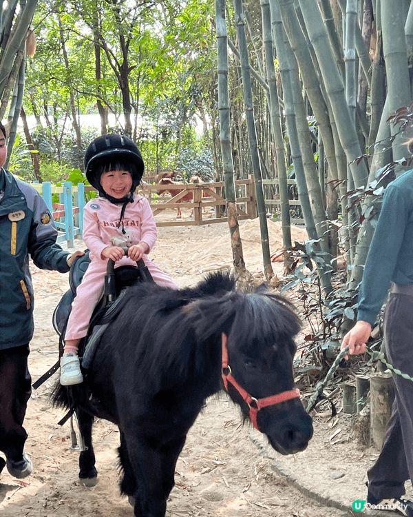 如果和小朋友去的地方，基本上都係海洋公園、迪士尼和其他親子的...