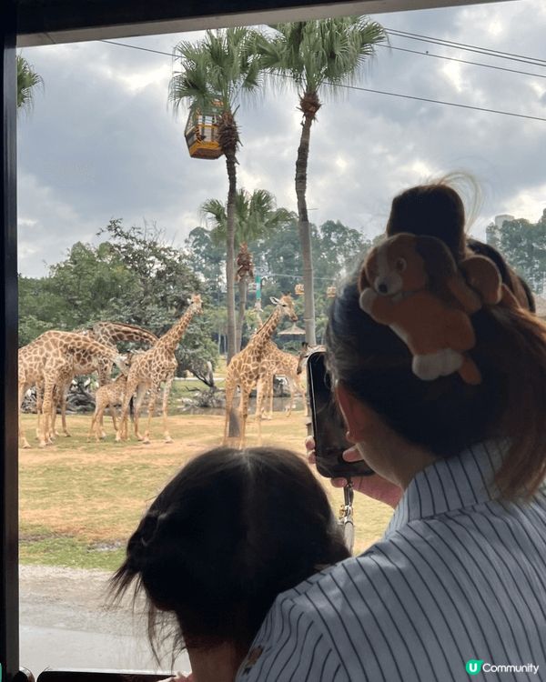 如果和小朋友去的地方，基本上都係海洋公園、迪士尼和其他親子的...