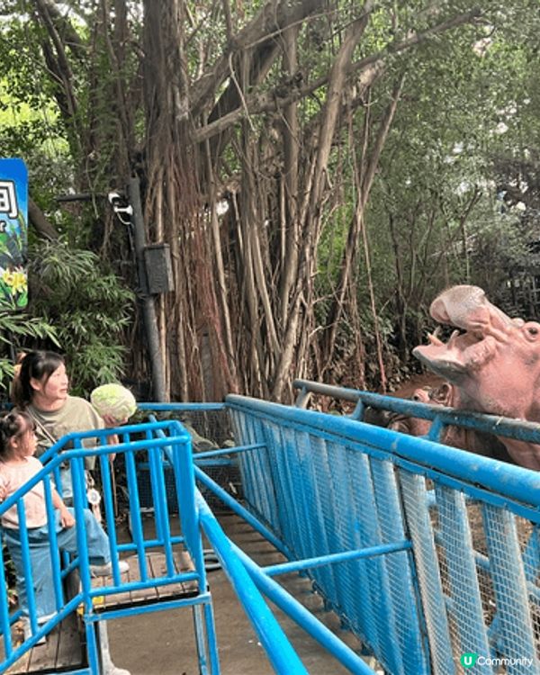 如果和小朋友去的地方，基本上都係海洋公園、迪士尼和其他親子的...