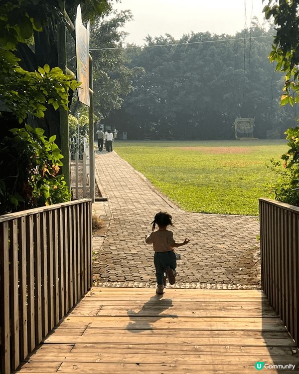 如果和小朋友去的地方，基本上都係海洋公園、迪士尼和其他親子的...