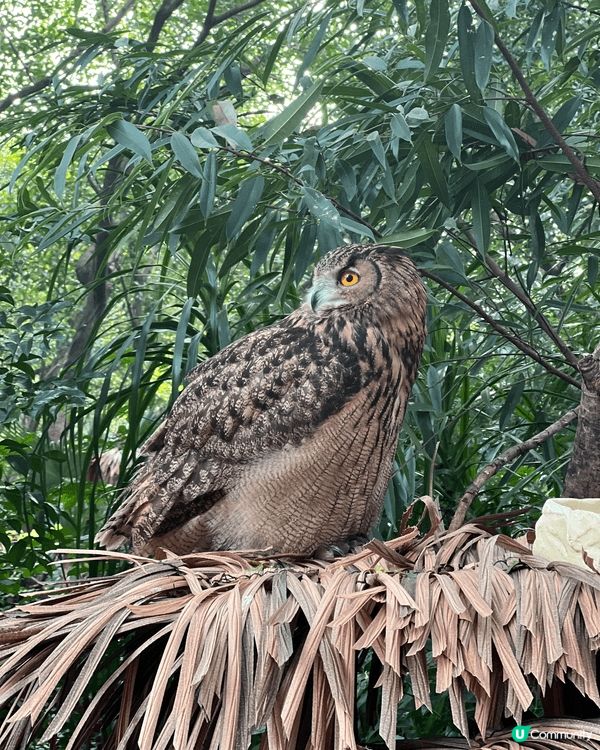 如果和小朋友去的地方，基本上都係海洋公園、迪士尼和其他親子的...