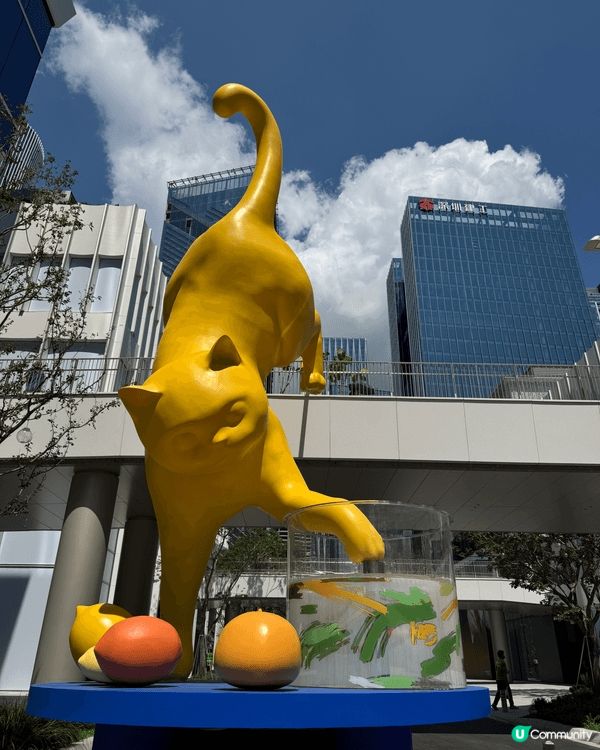 深圳灣萬象城有很多得意打卡位，沿商場一帶都可以找到貓足跡，非...