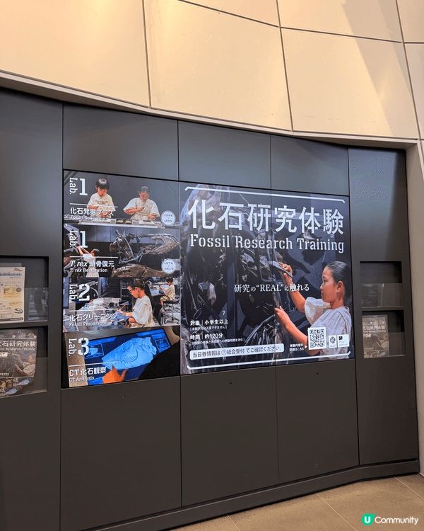 ！日本國內最大級別的恐龍專題博物館！