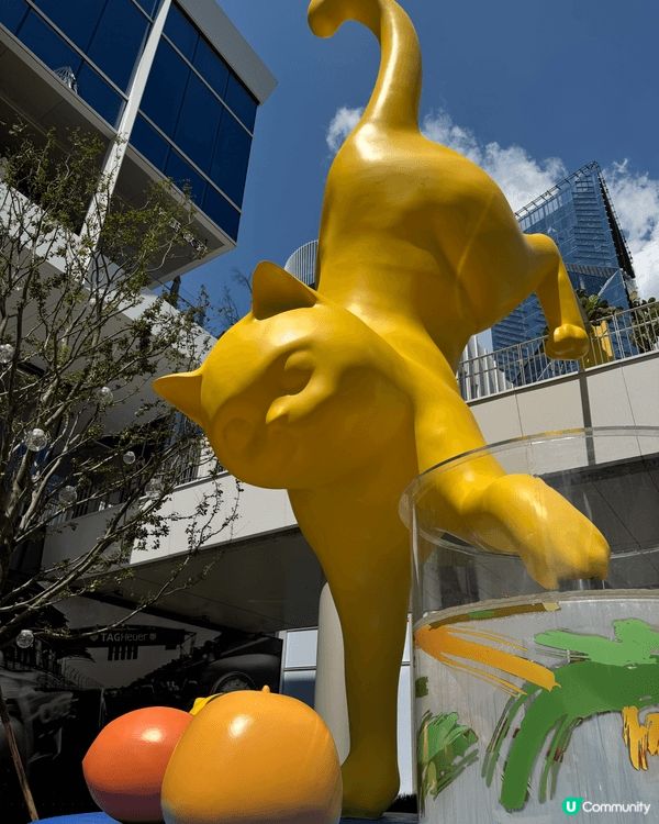 深圳灣萬象城有很多得意打卡位，沿商場一帶都可以找到貓足跡，非...