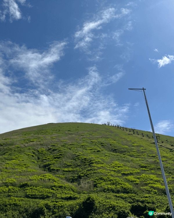 大室山好值得去！