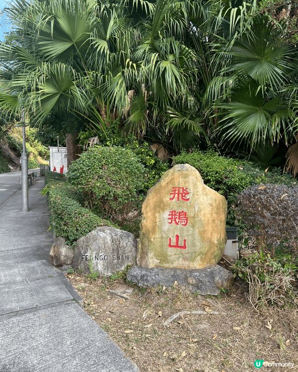 本地低成本玩樂🤪就係行山🥾