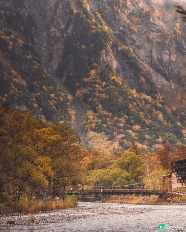 秋の日本 紅葉 實在太美 不枉此行