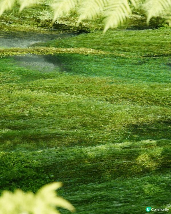 新西兰，澳大利亚，文莱，都很出片，很chill，值得一去