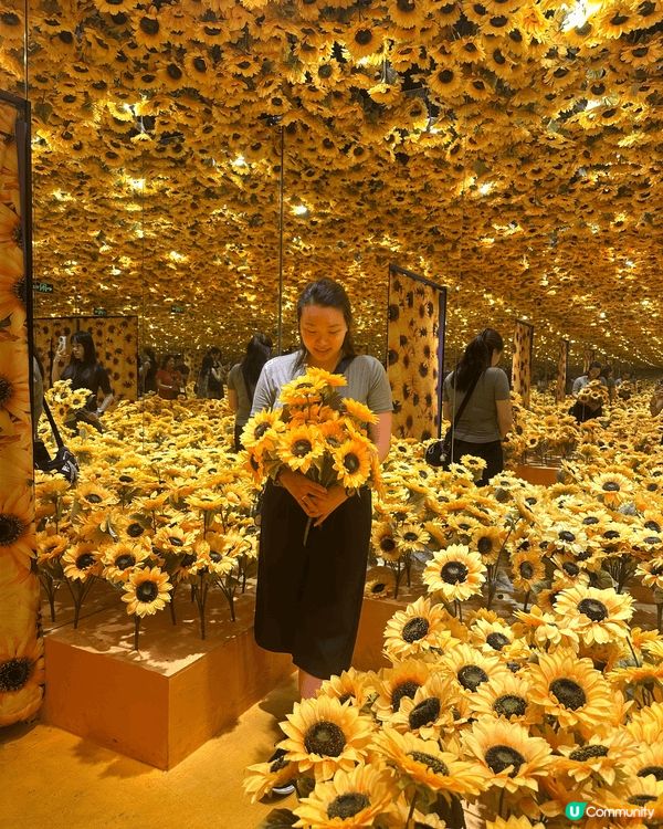 去左深圳既再現大師-世界名畫感映藝術展覽，我本身都係ulif...