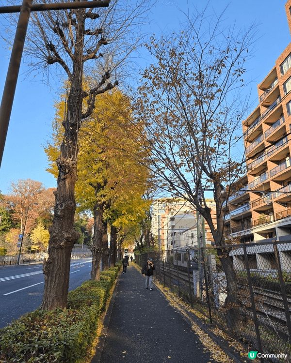 日本東京 荒川電車 行駛路線 靚景 #OK即刻有