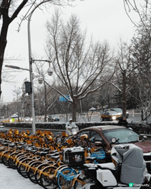 十二月初北京的一場初雪，很美。道路及樹上都舖上了一層白色外衣...