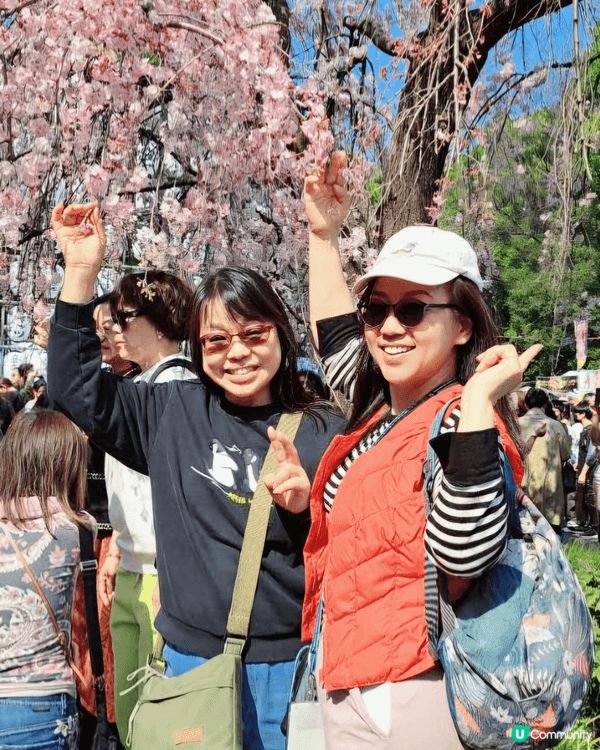 1, 韓國首爾的青瓦臺。2,日本上野恩賜公園。3,到深圳灣大...