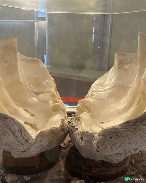 高雄上山下海，見證到大自然的美。