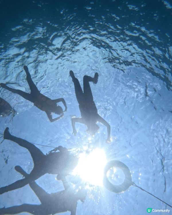 高雄上山下海，見證到大自然的美。