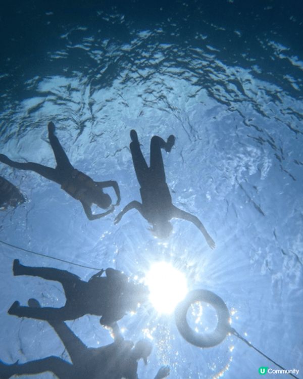 高雄上山下海，見證到大自然的美。