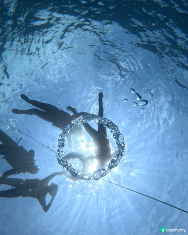 高雄上山下海，見證到大自然的美。