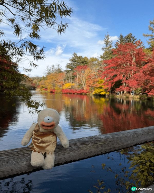 日本之旅雲場池自駕遊