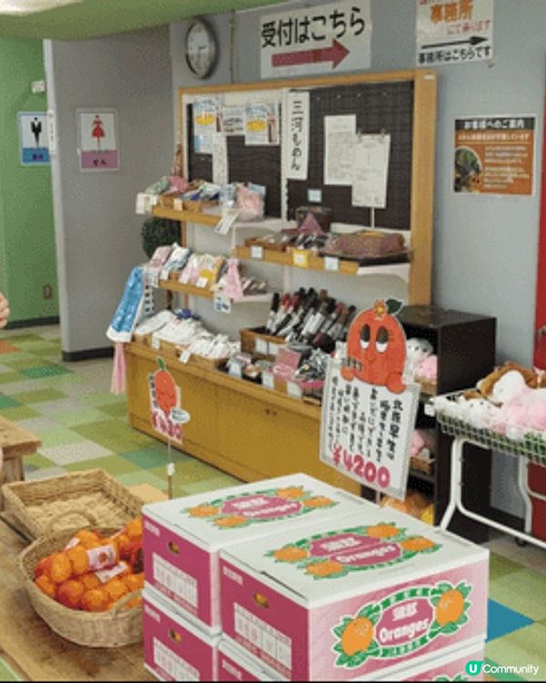 日本名古屋旅行，可以去橙園參觀和實地採摘橙(orange),...