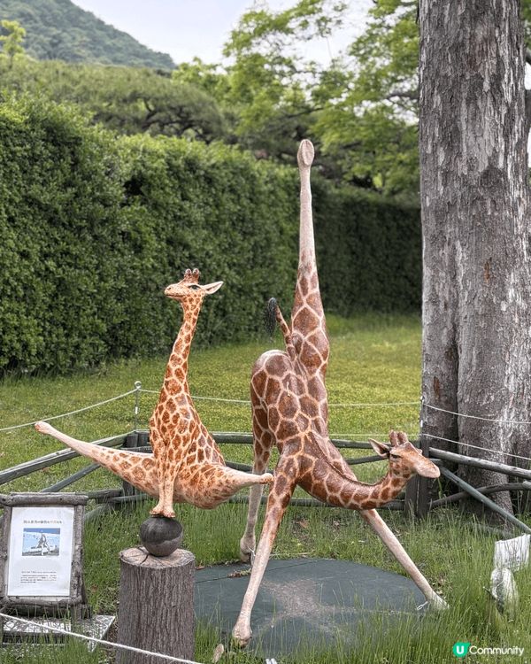 高松栗林公園，幾百円入場費就可以行到成個公園，非常之多打卡位...