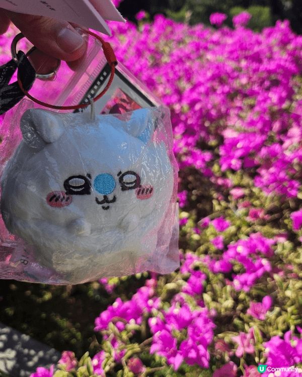 小可愛既世界令我既世界變得溫暖