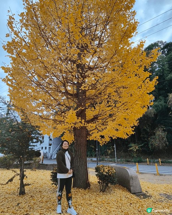 位於千葉縣嘅柏市，被譽為千葉縣嘅涉谷，旺中帶靜，JR直達，離...