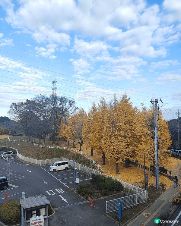 位於千葉縣嘅柏市，被譽為千葉縣嘅涉谷，旺中帶靜，JR直達，離...