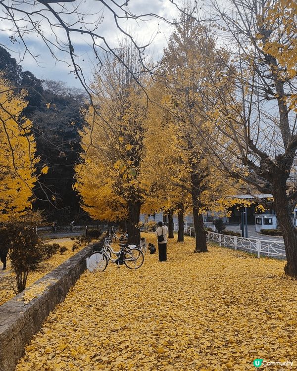 位於千葉縣嘅柏市，被譽為千葉縣嘅涉谷，旺中帶靜，JR直達，離...