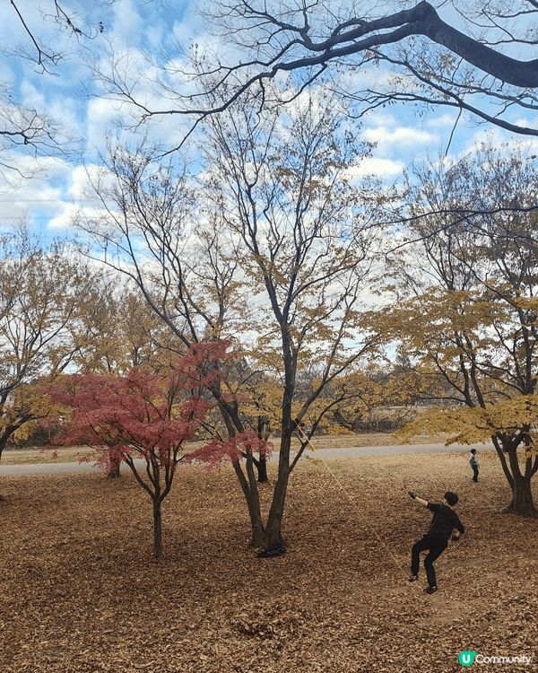 位於千葉縣嘅柏市，被譽為千葉縣嘅涉谷，旺中帶靜，JR直達，離...