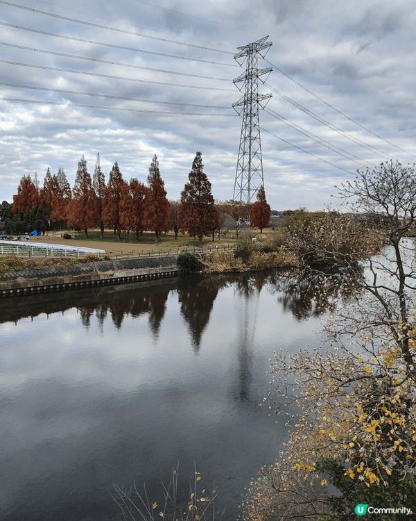 位於千葉縣嘅柏市，被譽為千葉縣嘅涉谷，旺中帶靜，JR直達，離...