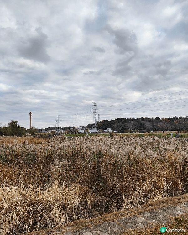 位於千葉縣嘅柏市，被譽為千葉縣嘅涉谷，旺中帶靜，JR直達，離...