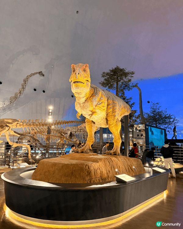 福井縣立恐龍博物館。這座博物館是世界頂級的恐龍博物館之一！