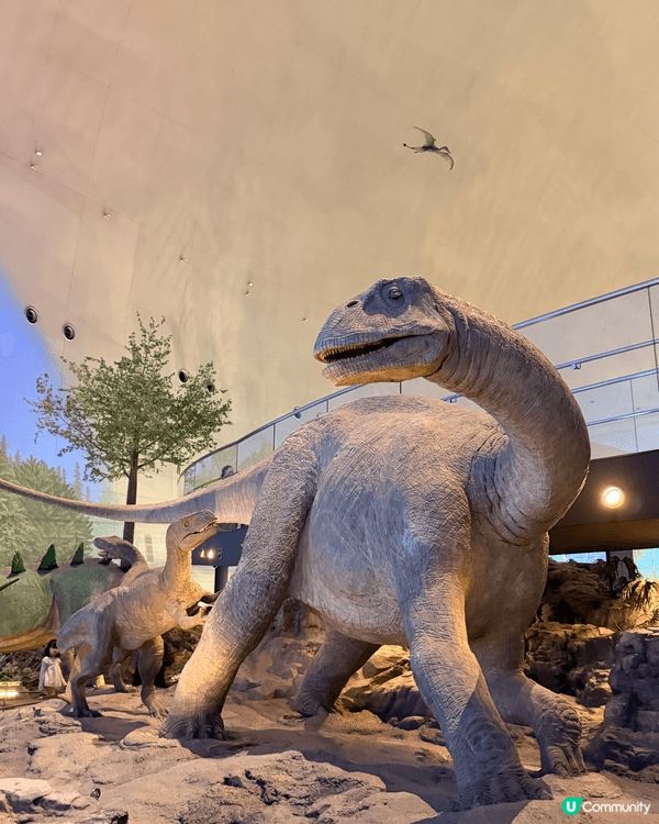 福井縣立恐龍博物館。這座博物館是世界頂級的恐龍博物館之一！