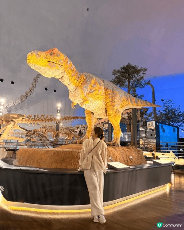 福井縣立恐龍博物館。這座博物館是世界頂級的恐龍博物館之一！