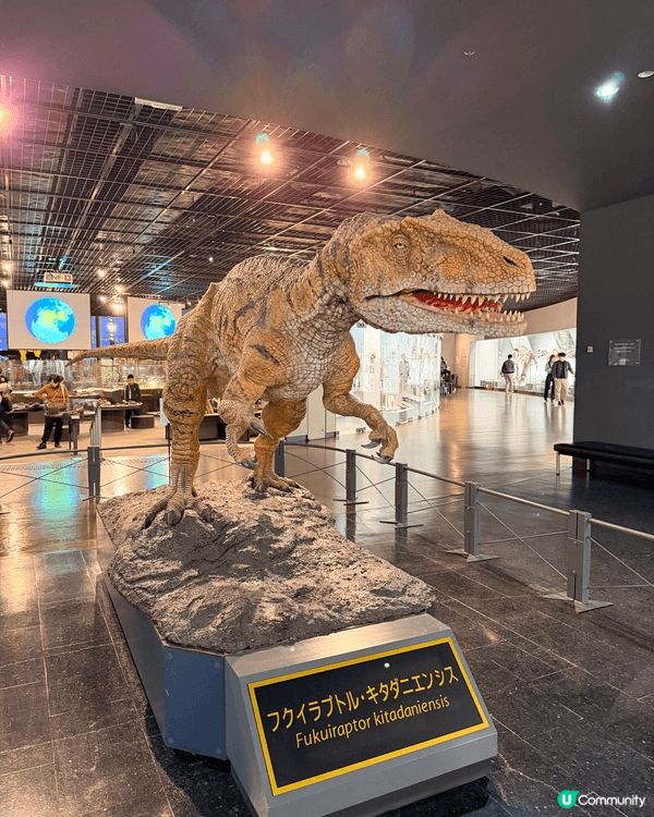 福井縣立恐龍博物館。這座博物館是世界頂級的恐龍博物館之一！