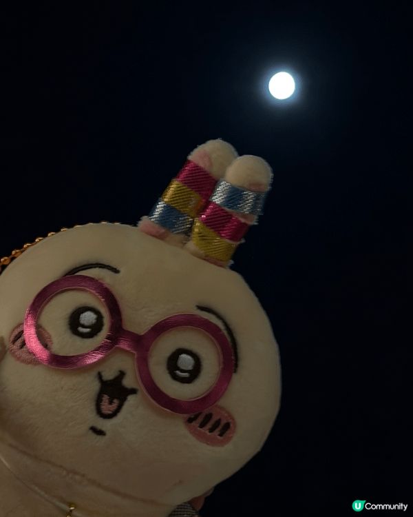 追左Chiikawa差唔多兩年🤩