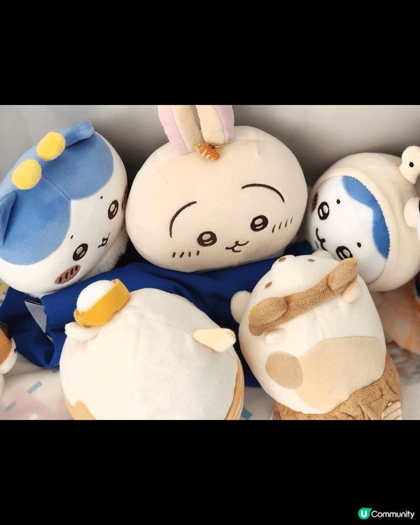 最愛小八🐱， 小八🐱和我同一日生日（5月1日）， 小八🐱樂天...