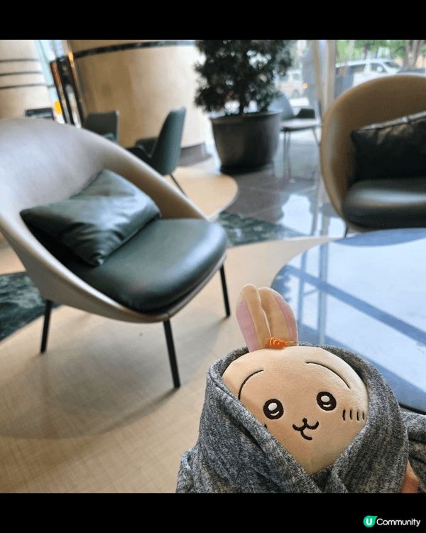 最愛小八🐱， 小八🐱和我同一日生日（5月1日）， 小八🐱樂天...