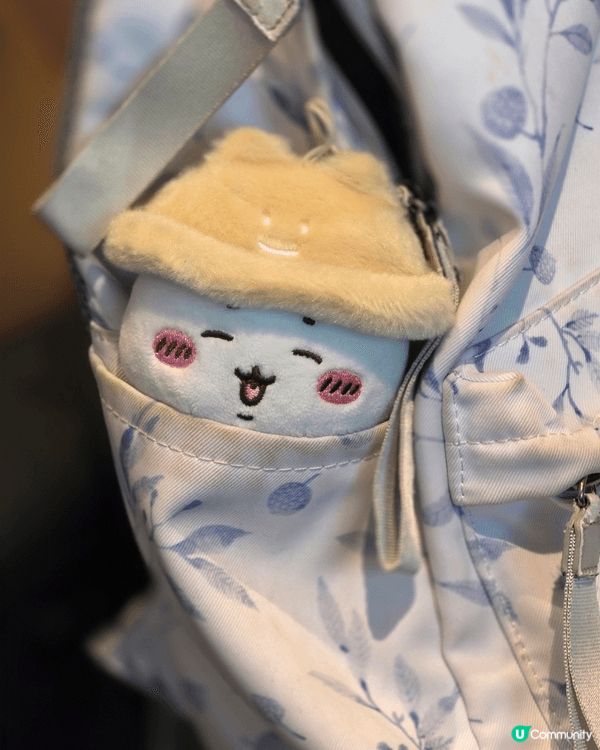 最愛小八🐱， 小八🐱和我同一日生日（5月1日）， 小八🐱樂天...