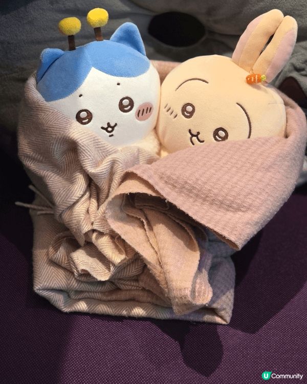 最愛小八🐱， 小八🐱和我同一日生日（5月1日）， 小八🐱樂天...